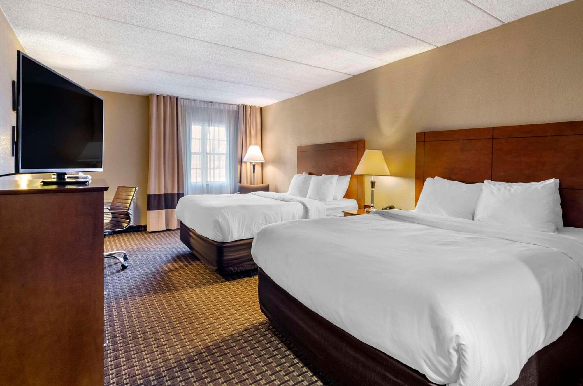 Comfort Inn & Suites Raphine - Lexington Near I-81 And I-64 Eksteriør bilde