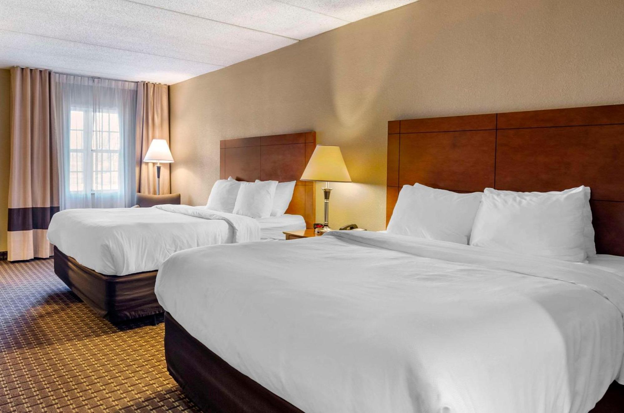 Comfort Inn & Suites Raphine - Lexington Near I-81 And I-64 Eksteriør bilde