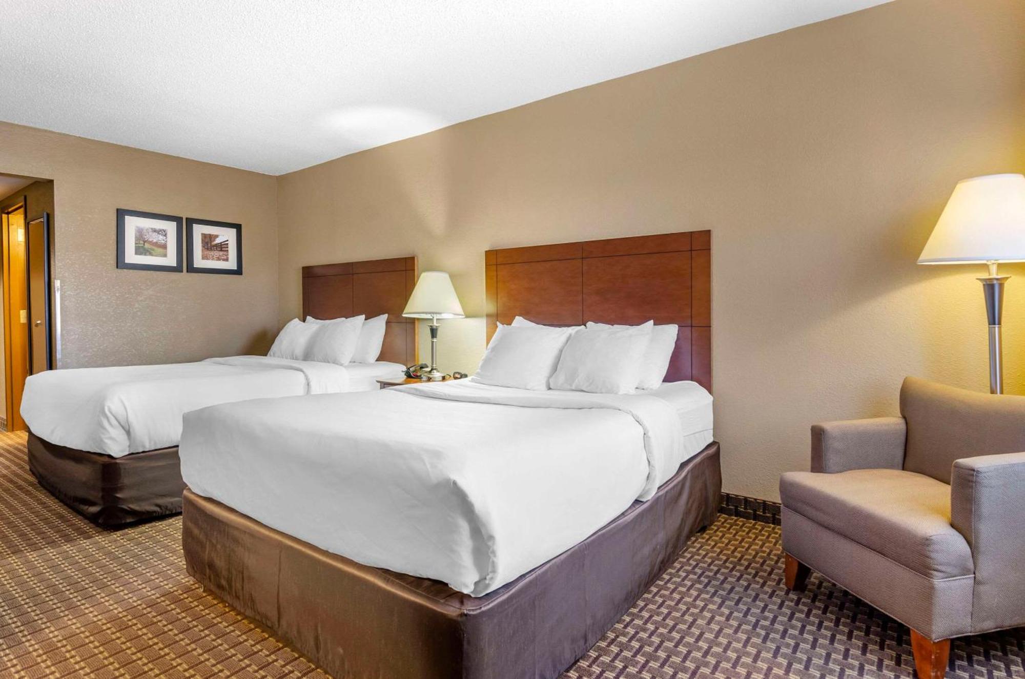 Comfort Inn & Suites Raphine - Lexington Near I-81 And I-64 Eksteriør bilde