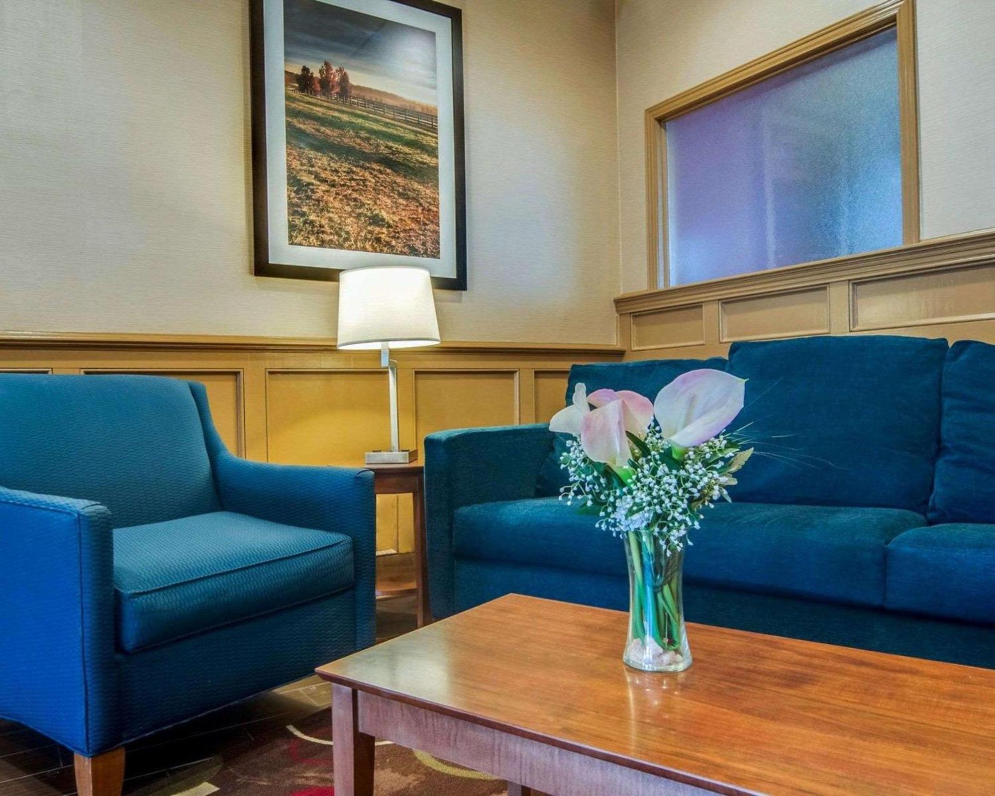 Comfort Inn & Suites Raphine - Lexington Near I-81 And I-64 Eksteriør bilde